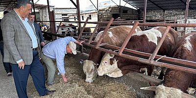 Gürer: “İnekten sütü sağan mutsuz”