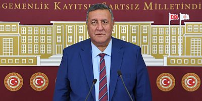 Gürer, iş kazaları ve meslek hastalıklarını Meclis gündemine taşıdı