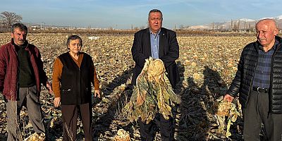 Gürer: “İsraf Tarlada Başlıyor, Üretici Yalnız Bırakılıyor”