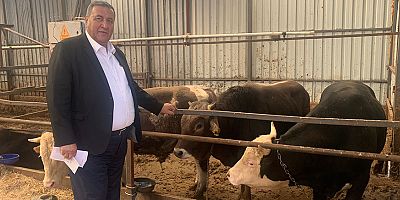 Gürer: “İthal hayvan ve et ile kimler kazanıyor?”