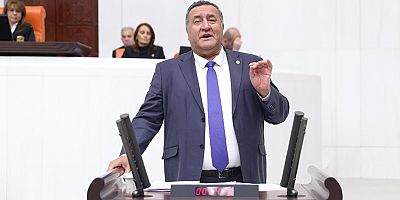 Gürer: “İthalatçı bir anlayışla ülkemin tarımı yönetiliyor”