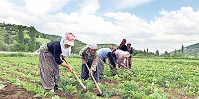Gürer: “Kadın çiftçilere yıpranma payı ve SGK Prim desteği verilmeli”