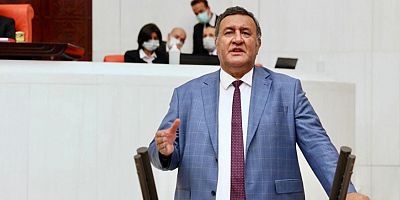 Gürer: “Kamuda hayvan sağlığı sorunsa besici ne yapsın?”