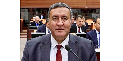 Gürer: “Kamuda yeterli veteriner yok”