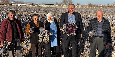 Gürer: “Kara Lahana Tarlada Kaldı, Markette Fiyatı Katladı”