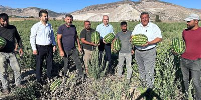 Gürer: “Karpuz tarlada kaldı”