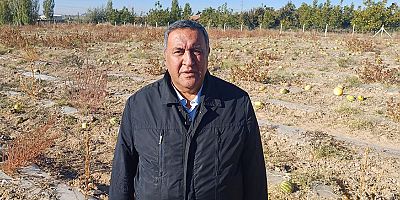 Gürer: “Karpuzun tarlada yüzüne bakan olmadı”