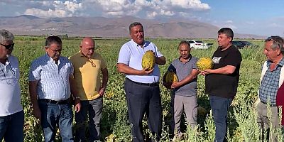 Gürer: “Kavun da üreticiyi pişman etti