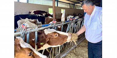 Gürer: Keçiler de icralık oldu