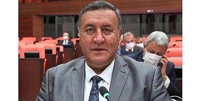 Gürer: “Kısa süreli cezalarda adli kayıt silme 2 yıla indirilmelidir”