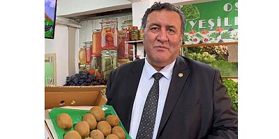 Gürer: “Kivi yetişen 21 il var, üreticinin geliri illere göre değişiyor”