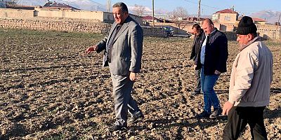 Gürer: “Kuraklık hububatta tohumu toprağa hapis etti”