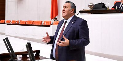 Gürer: “Kuraklık, ülkemizin gıdaya ulaşımını zorlaştıracak”