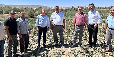 Gürer: “Kuraklık ve sulama sorunları da üreticiyi vurdu”