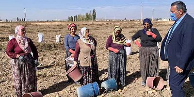 Gürer: “Küresel İklim Değişikliği Kadınların İşsizliğini Tetikleyecek”