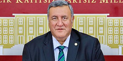 Gürer: “Küresel iklim değişikliği tarımı olumsuz etkiliyor”