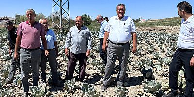 Gürer: “Lahana da üreticisinin yüzünü güldürmedi”