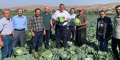 Gürer: “Lahana üreticisi de perişan”