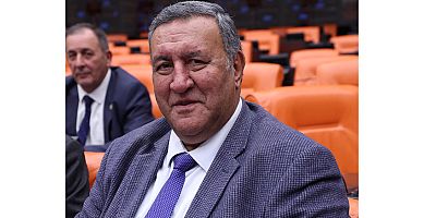 Gürer: Makarna artık lüks gıda