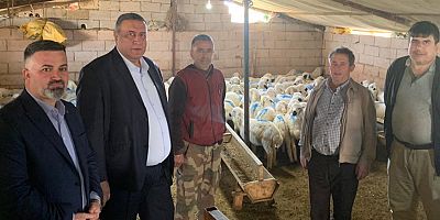 Gürer: “Maliyet artışı küçükbaş hayvan yetiştiricilerini mağdur etti”