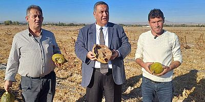 Gürer: “Masa başında laf üretmek yerine tarlaya çözüm üretin”