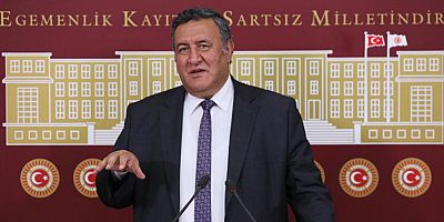 Gürer: “Meralar alarm veriyor”