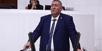 Gürer: “Milli parklar ranta kurban edilmemelidir”