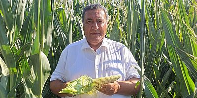 Gürer: “Mısır alım fiyatı üreticiyi hayal kırıklığına uğrattı”