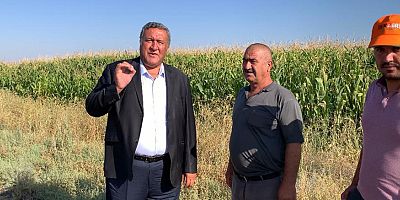 Gürer: “Mısır taban fiyatı revize edilmeli”