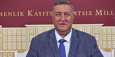 Gürer: “Muayene Zorunlu, Ücret Yüksek”