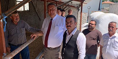 Gürer: “Önceleri 30 büyükbaş hayvan beslenen ahırlarda şimdi 5-6 kuzu var”