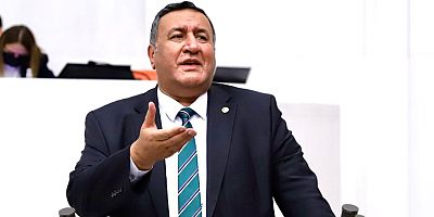 Gürer: “Organik tarım özendirilmelidir”