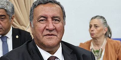 Gürer: “Orman alanına cezaevi yapılması yanlıştır”