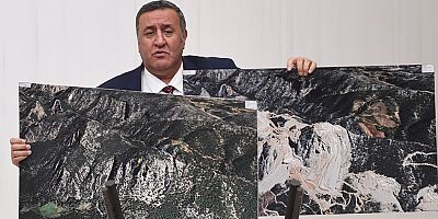 Gürer: “Orman alanları artmıyor, azalıyor”