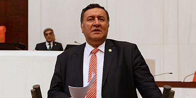 Gürer: “Orman alanları talana mı açılıyor”