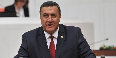 Gürer: “Orman ekosistemi yok ediliyor”