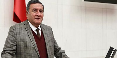 Gürer: “Orman ürünlerinin milli gelirimizdeki payı  yüzde 1”