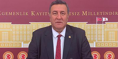 Gürer: “Orman yangınlarında artış devam ediyor”