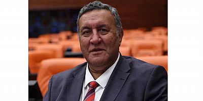 Gürer: Orman yangınlarını önlemek için keçiler umut olabilir