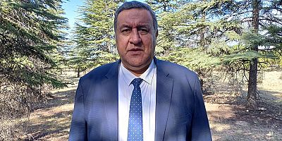 Gürer: “Ormanlar talana uğruyor”