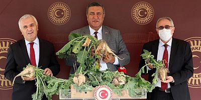 Gürer: “Pancar alım taban fiyatları hemen açıklanmalı”