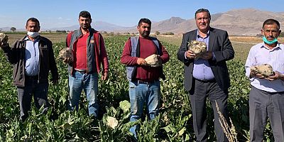 Gürer: “Pancar üreticisi kan ağlıyor”