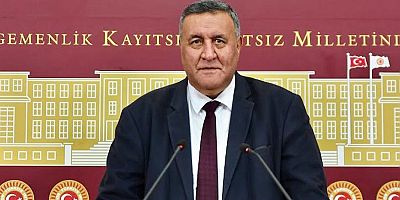 Gürer: “Pasaport yetmez, vize şart diyen 122 ülke var”