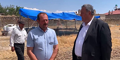 Gürer: “Patates değerine alıcı bulmayınca hayvan yemi oldu”