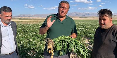Gürer: “Patates markette 3 TL, üretici ise kaygılı”