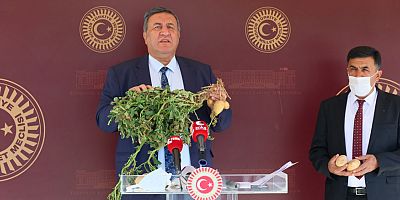 Gürer: “Patates tarlada 50 kuruş, markette 3 lira”