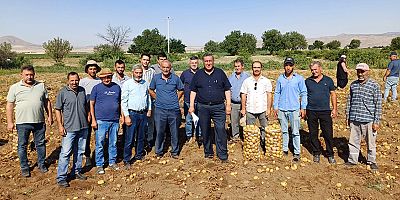Gürer: “Patates üretici isyanda!”