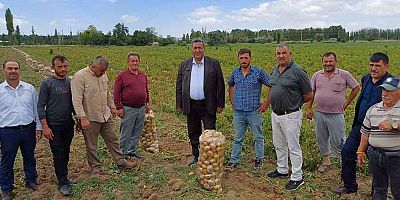 Gürer: “Patates üreticisi de tüketicisi de dertli”