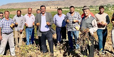 Gürer: “Patates üreticisi İktidarın umurunda değil”
