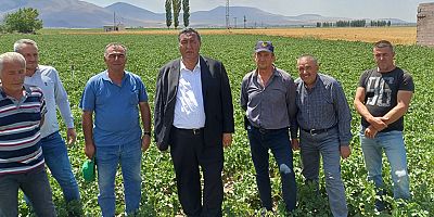 Gürer: “Patates üreticisi kaygılı”